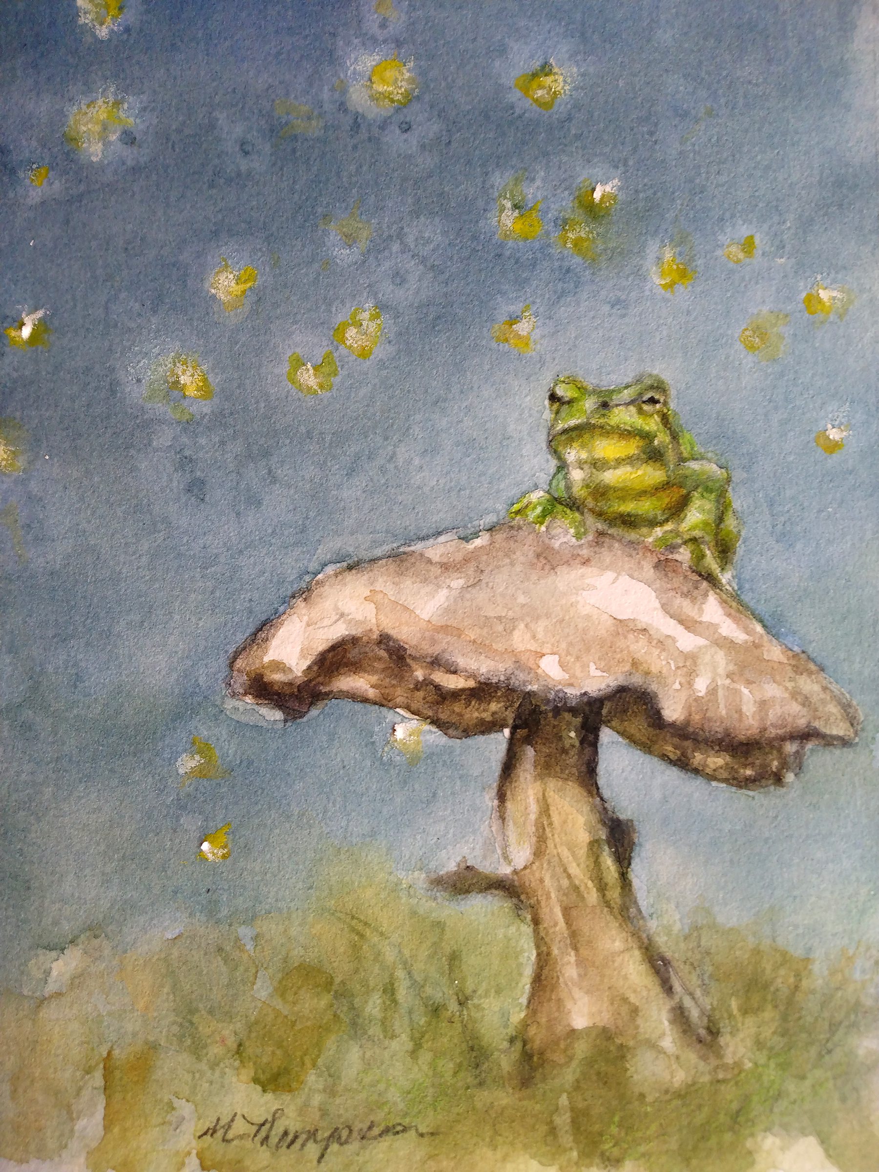 Frog and fireflies