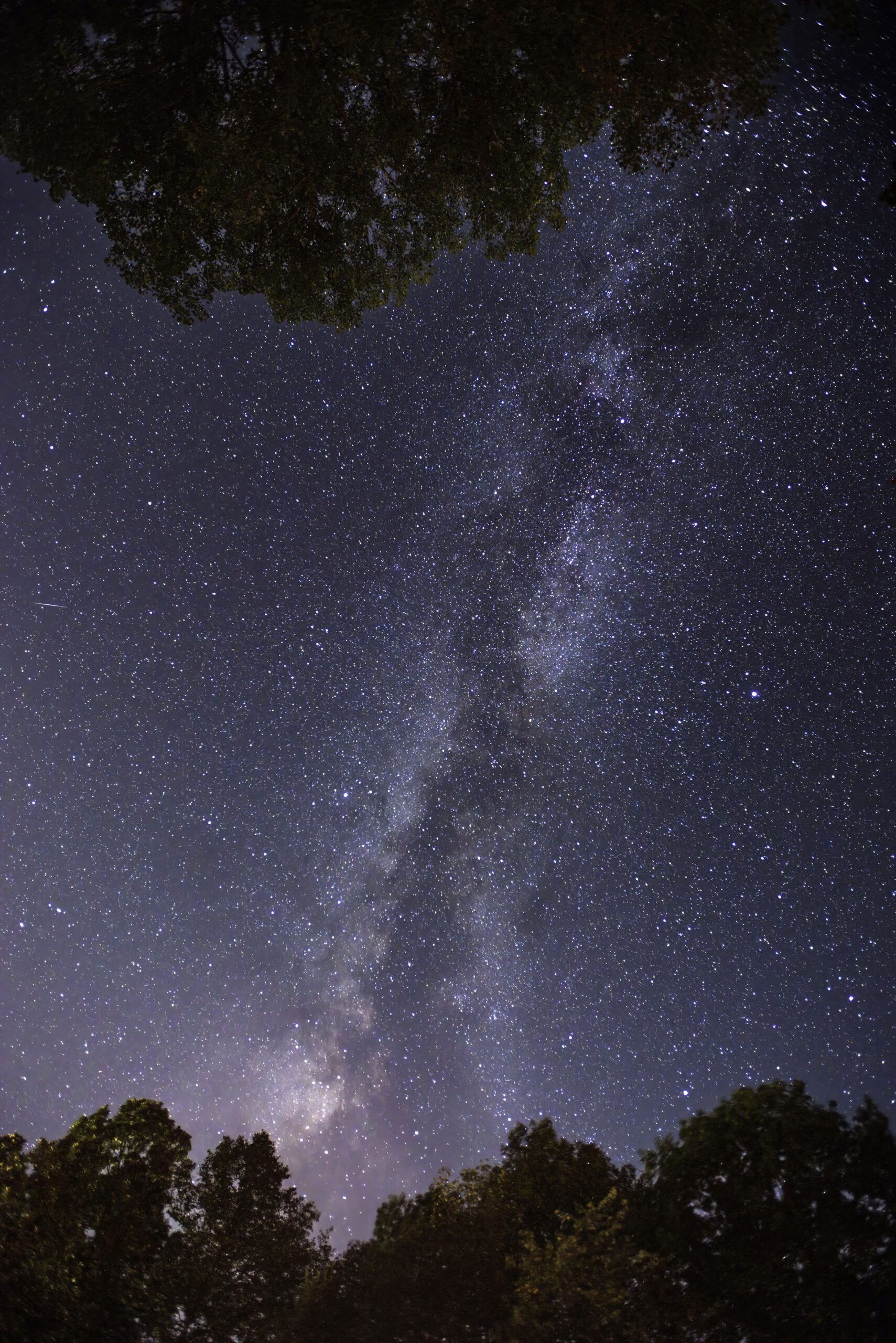 Night Sky photo by Nick Chill