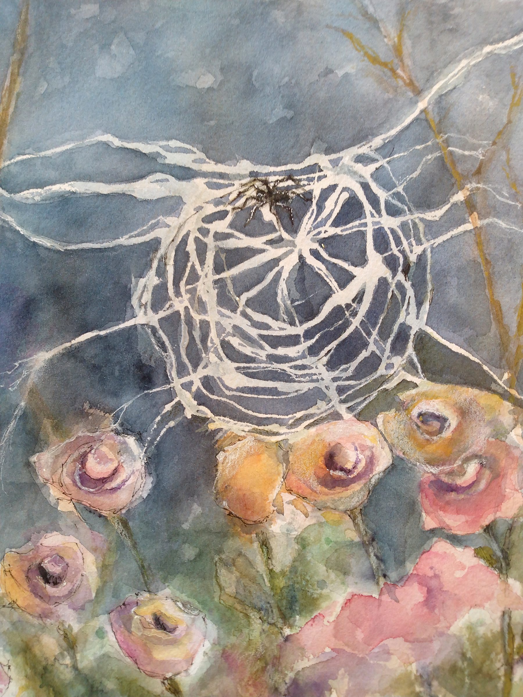 Mary Thompson's artwork of a spider