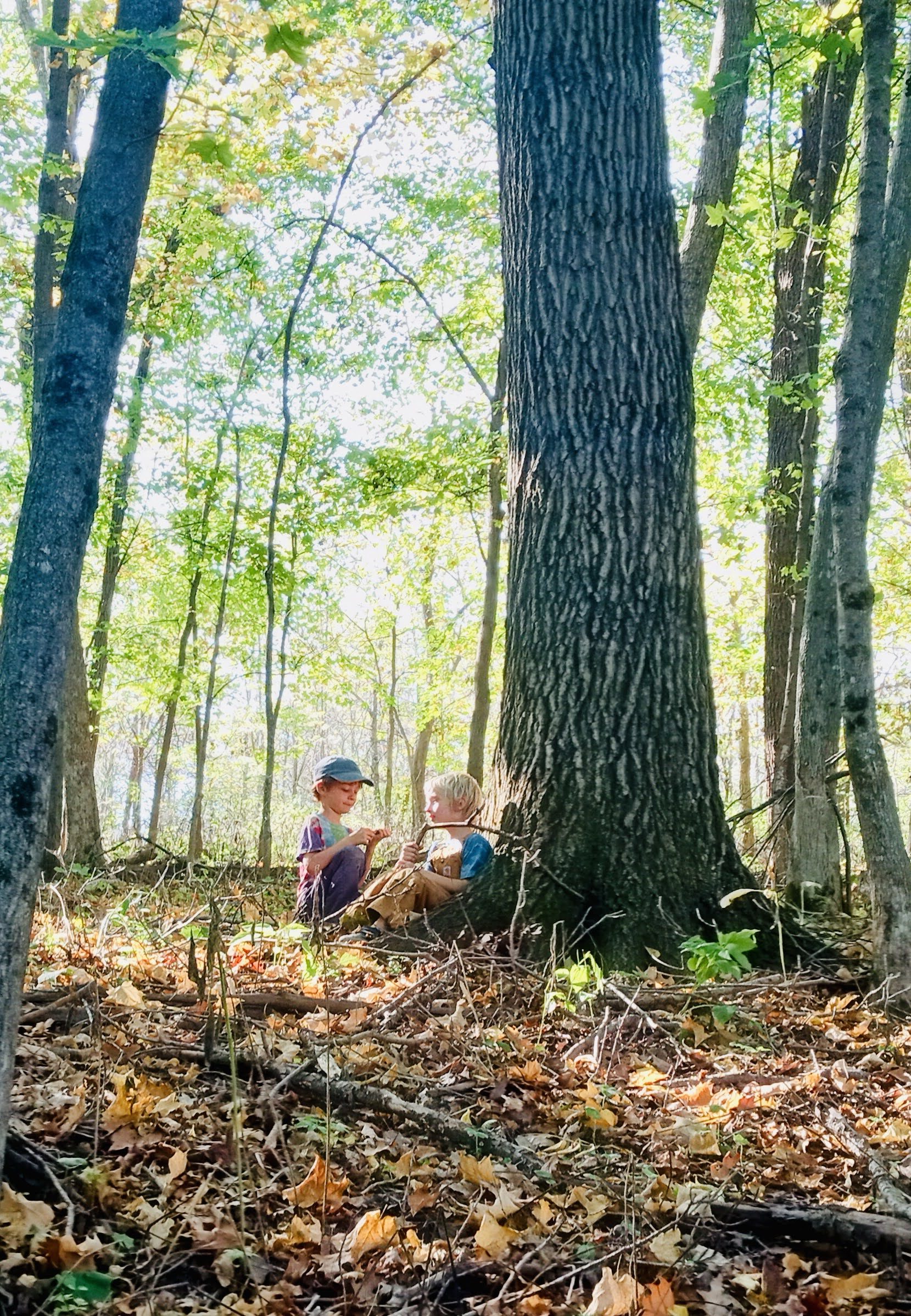 Red Oak Outdoor school students by a tree