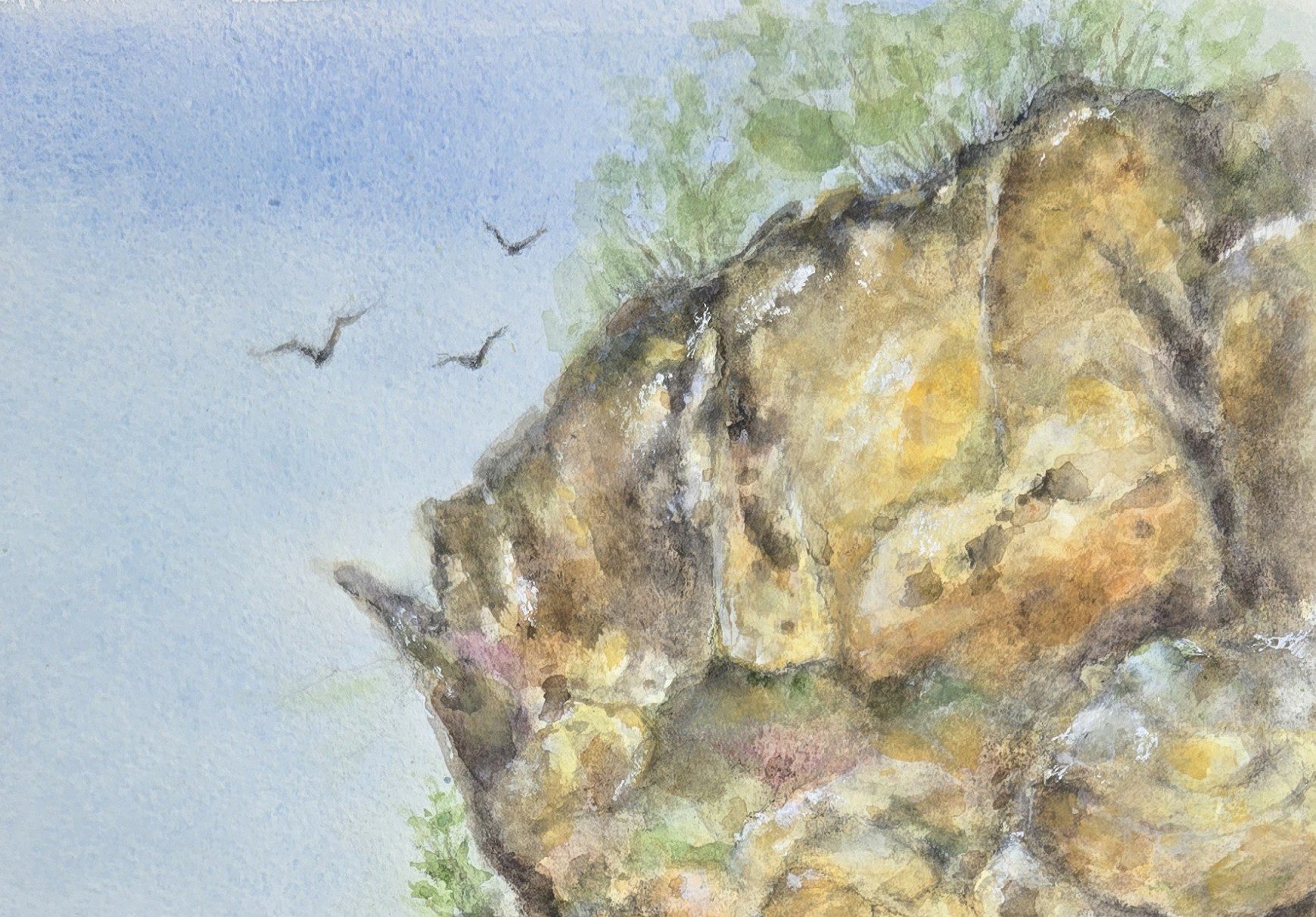 The Driftless: A Geologic Doughnut Hole