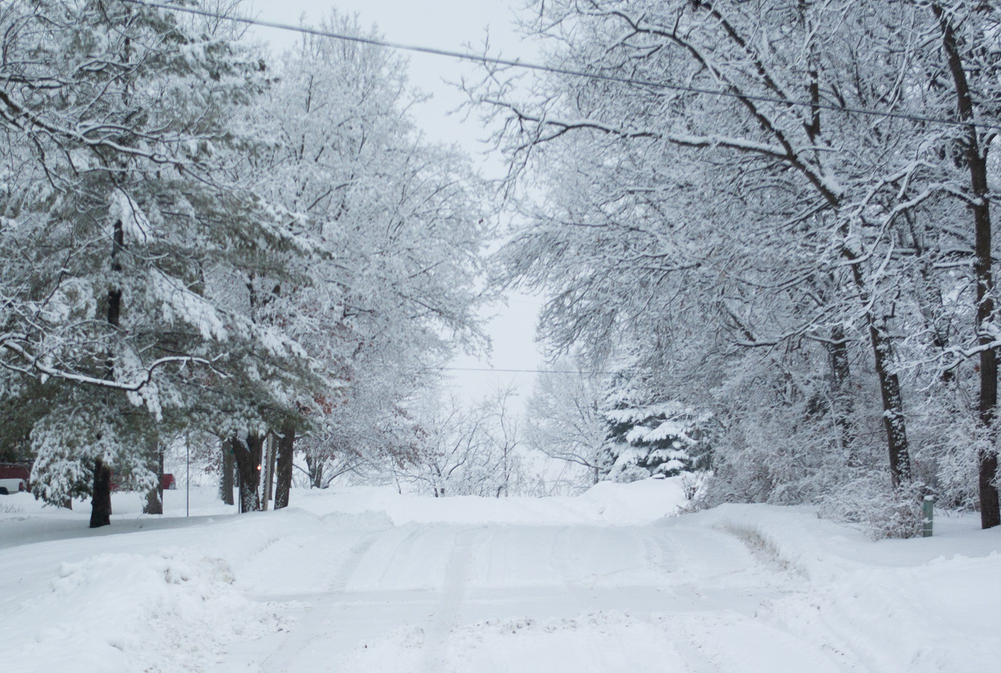 Winter 2025-26 Editor’s Letter