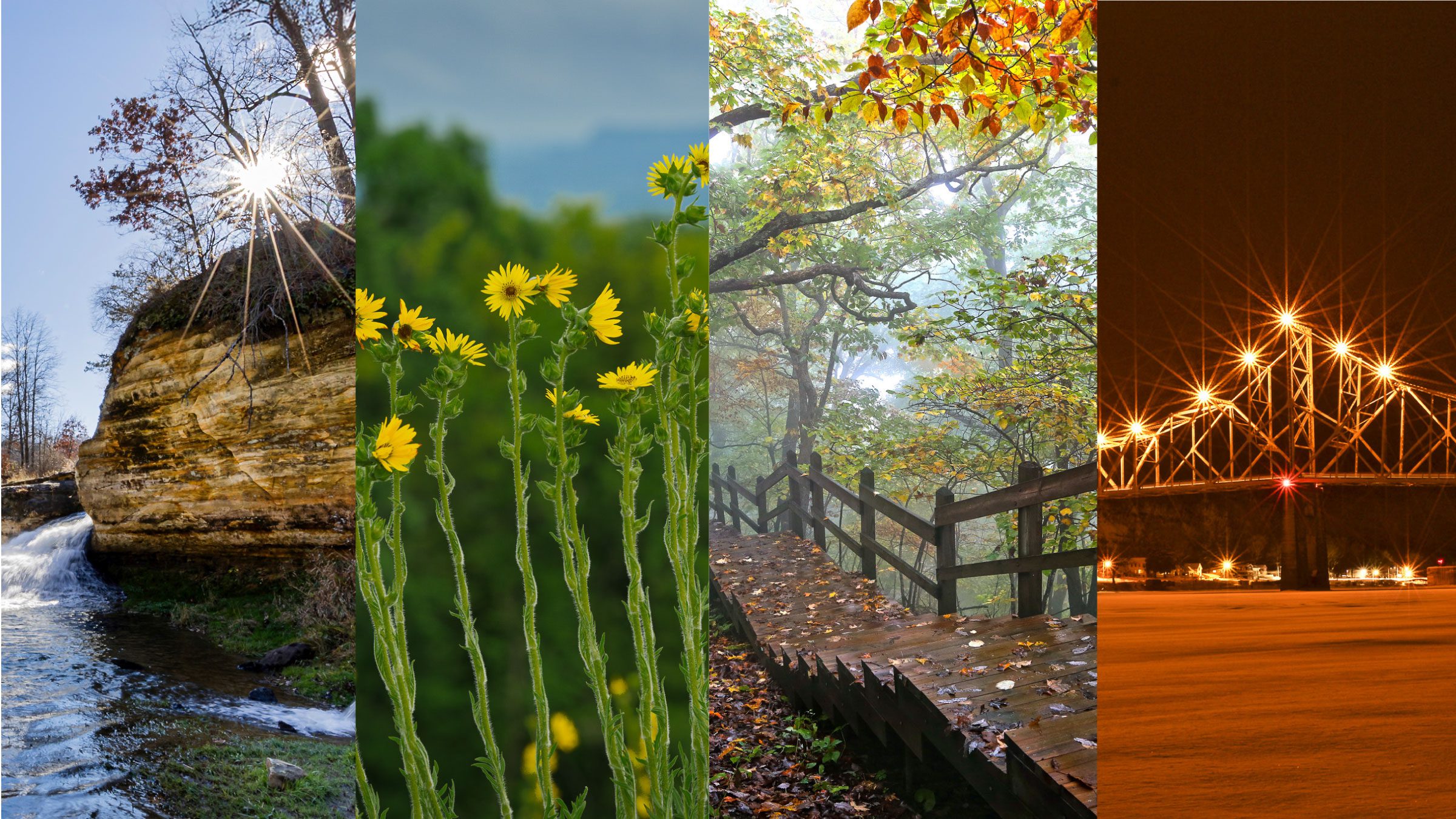 2025 Inspire(d) Photographers