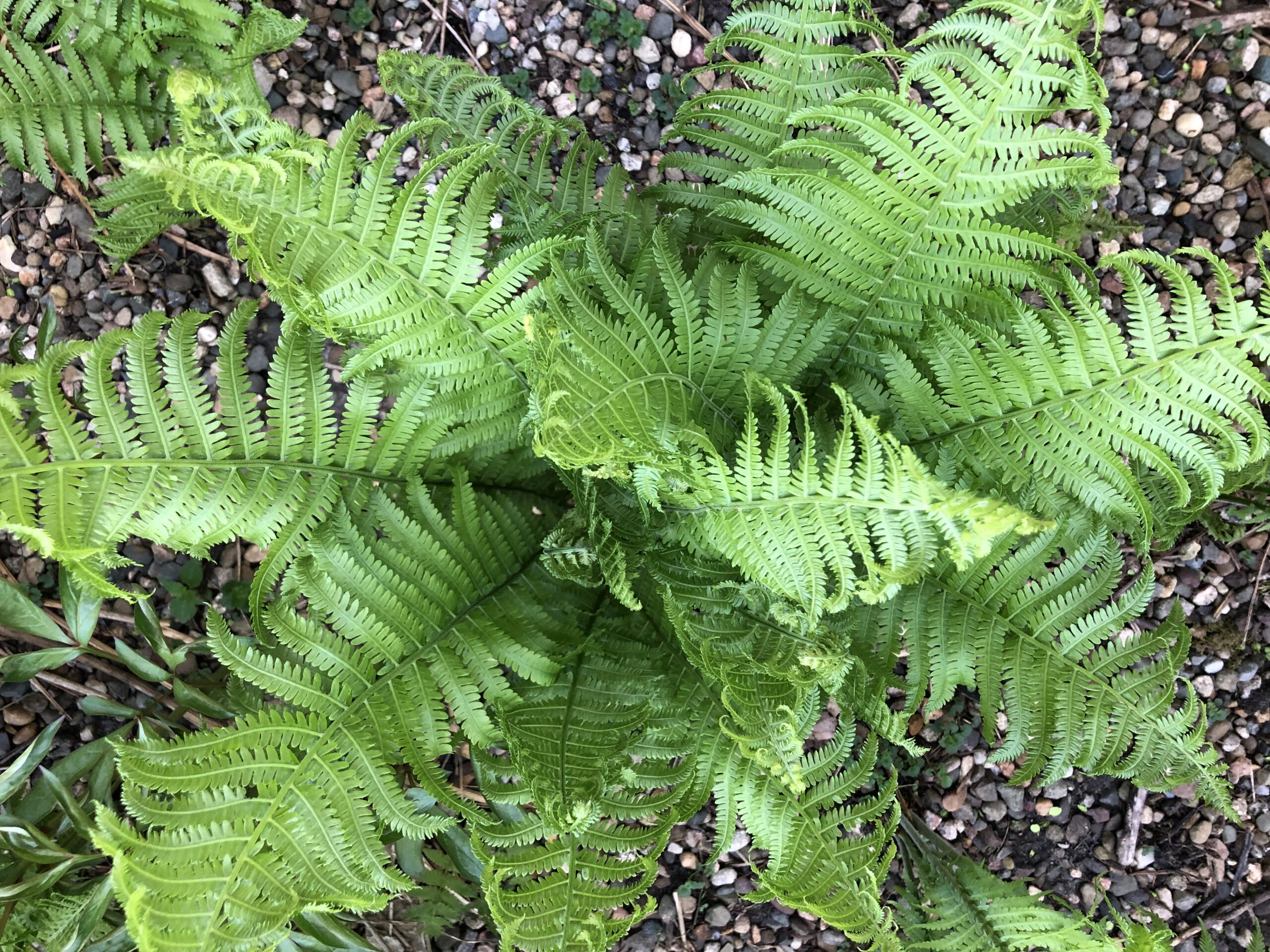 Spring 2026 Inspire(d) Editor’s Letter