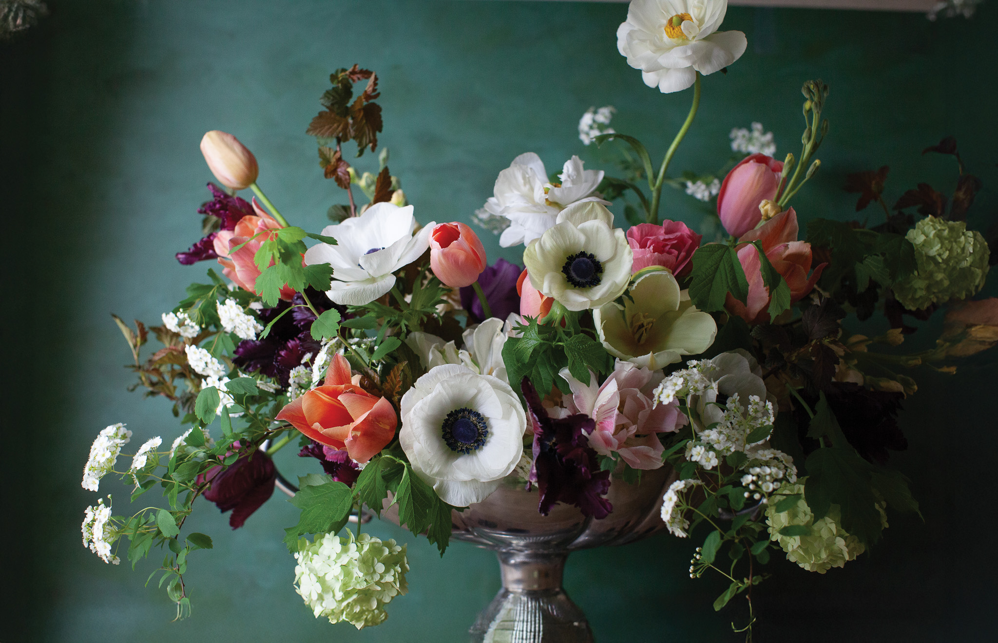 Jen Opheim: A New Leaf