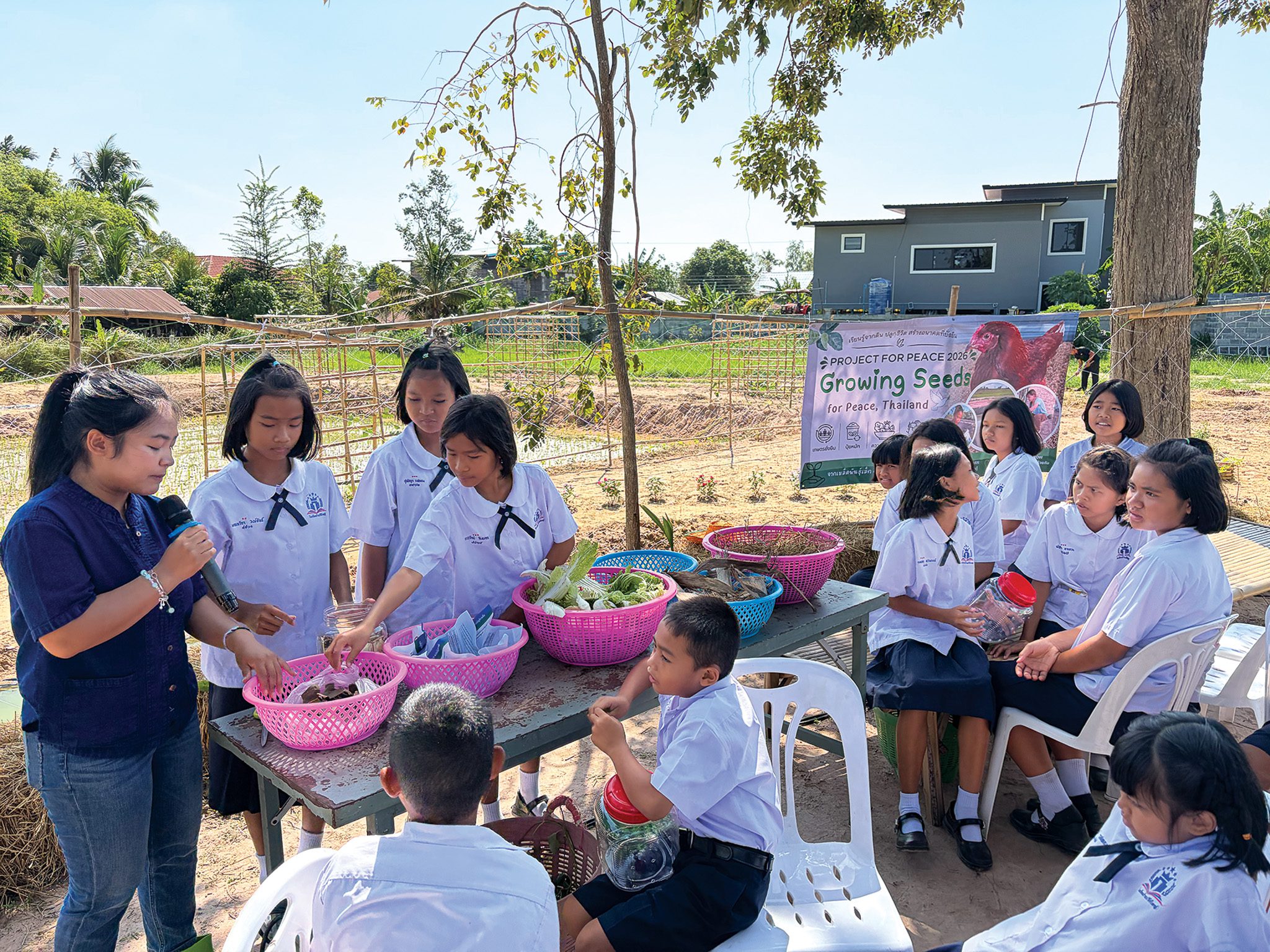 Growing Seeds for Peace